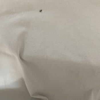 Hatemoğlu Tshirtlerde Hızlı Renk Solması Ve İnceleme Sürecinde Yaşanan Mağduriyet