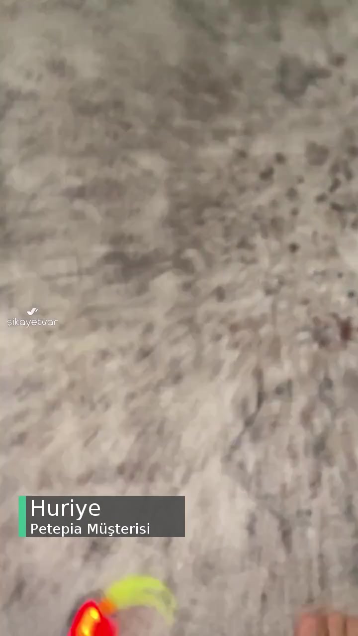 Petepia Yanıltıcı Oyuncak Satışı videonun kapak resmi