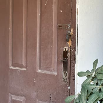 Vav Hotel Kuşadasında Hijyen Eksikliği Ve Kapora İadesi Sorunu