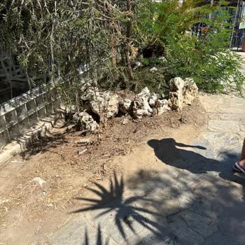 Vav Hotel Kuşadasında Hijyen Eksikliği Ve Kapora İadesi Sorunu