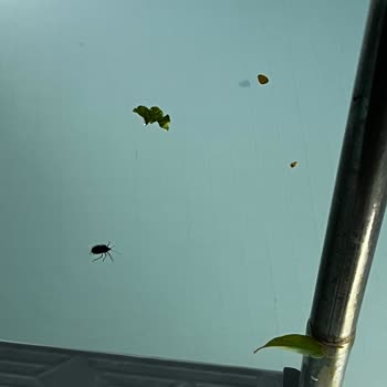 Sibyl Hotel Erythrai'de Vaat Edilen Hizmetler Sunulmadı, Ücret İadesi Talebim Reddedildi