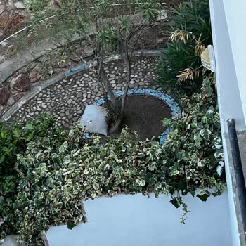 Sibyl Hotel Erythrai'de Vaat Edilen Hizmetler Sunulmadı, Ücret İadesi Talebim Reddedildi