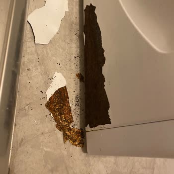 Siemens Çamaşır Makinesinde Erken Paslanma Ve Yetersiz Servis Desteği