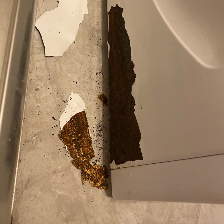 Siemens Çamaşır Makinesinde Erken Paslanma Ve Yetersiz Servis Desteği