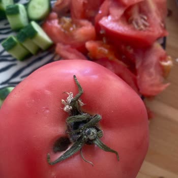 A101 Kapıda'dan Çürük Domates Teslimatı Ve Çözüm Sunulmaması