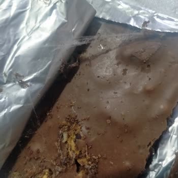 Nestle Damak Çikolatada Örümcek Ağı Ve Sağlık Endişesi