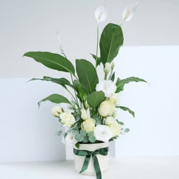 Sipariş Edilen Premium Çiçek Yerine Alakasız Ve Kalitesiz Ürün Gönderildi