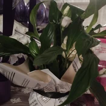 Sipariş Edilen Premium Çiçek Yerine Alakasız Ve Kalitesiz Ürün Gönderildi