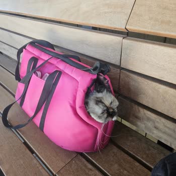 Köfteci Yusuf Evcil Hayvanımızla Restorana Alınmadık, Büyük Hayal Kırıklığı Yaşadık