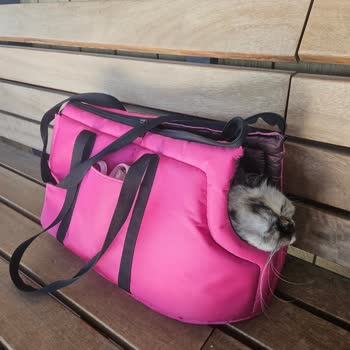 Köfteci Yusuf Evcil Hayvanımızla Restorana Alınmadık, Büyük Hayal Kırıklığı Yaşadık