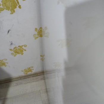 Vestel Yeni Alınan Buzdolabında Hasar Ve Değişim Talebine Ret