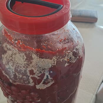 Barla Gurme Market Gümüşler Şubesi Şikayeti