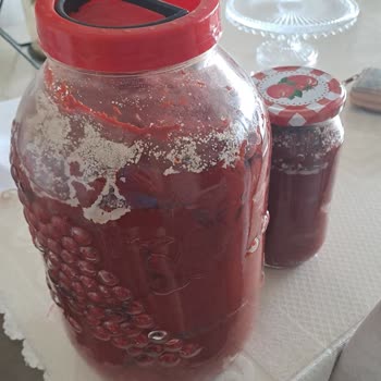 Barla Gurme Market Gümüşler Şubesi Şikayeti