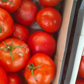 A101’de Bozuk Ürün Ve İlgisiz Personel Sorunu