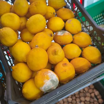 A101’de Bozuk Ürün Ve İlgisiz Personel Sorunu