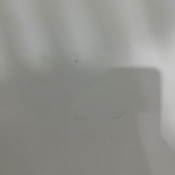 Grand Blue Sky Hotel’de Temizlik Ve Hizmet Sorunlarıyla Mağduriyet Yaşadık