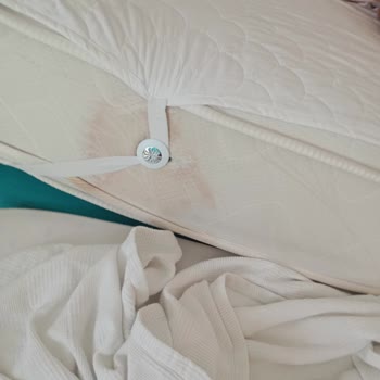 Side Win Hotel & Spa Yüksek Ücrete Rağmen Kötü Temizlik Ve İlgisizlik
