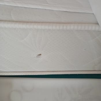 Side Win Hotel & Spa Yüksek Ücrete Rağmen Kötü Temizlik Ve İlgisizlik