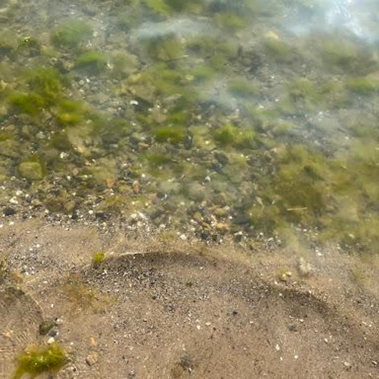 Caddebostan Plajı'nda Yüksek Ücret, Hijyen Eksikliği Ve İlgisizlik Mağduriyeti