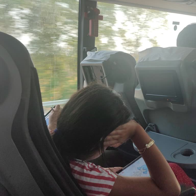 Yanlış Bilet, İlgisiz Müşteri Hizmetleri Ve Kötü Yolculuk Deneyimi Mağduriyeti