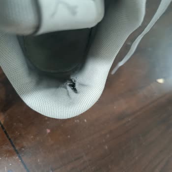 Kısa Sürede Yıpranan Puma Ayakkabı İçin Garanti Ve Değişim Talebi