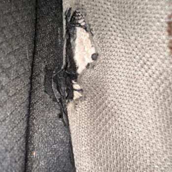 2 Ayda Yırtılan Ayakkabıya Garanti Kapsamında Çözüm Sunulmadı, Mağduriyetim Giderilmiyor