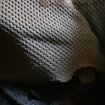 2 Ayda Yırtılan Ayakkabıya Garanti Kapsamında Çözüm Sunulmadı, Mağduriyetim Giderilmiyor