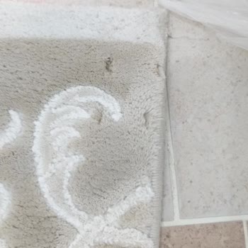 Halı Yıkama Sonrası Pas Lekesi Ve Çalışan İlgisizliği