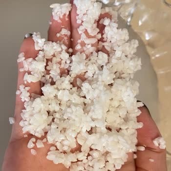 Duru İri Pirinç Yıkandıktan Sonra Neredeyse Tamamen Kayboldu