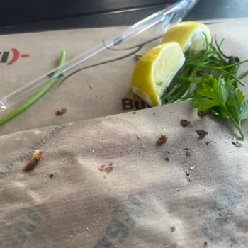 Hijyen Ve Hizmette Büyük Düşüş: Dayı Kürek Lahmacun Ankara Şubesinde Kötü Deneyim