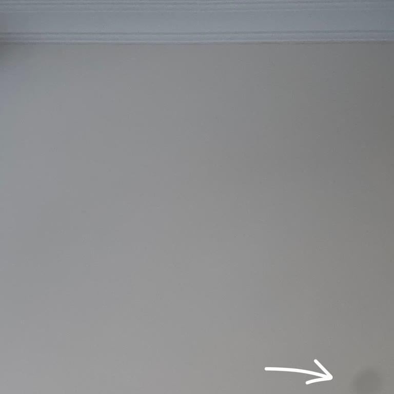 Samsung S23'te Tekrarlayan Kamera Leke Sorunu Ve Garanti Sonrası Mağduriyet