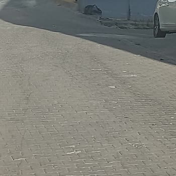 Keçiören Belediyesi'nde Çöp Toplama Sorunu Ve Hijyen Eksikliği