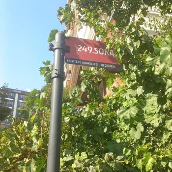 Keçiören Belediyesi'nde Çöp Toplama Sorunu Ve Hijyen Eksikliği