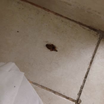 Ödemiş Öğretmenevi Ve Akşam Sanat Okulu Temizlik Konusunda Ciddi Bir Sorunla Karşılaştık