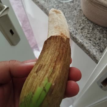 Bozuk Ürünler, Eksik Hizmet Ve Yetersiz Müşteri Desteği Nedeniyle Mağduriyet