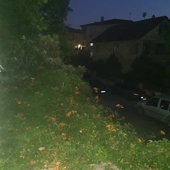 Kumla Mahallesi'nde Sokak Lambalarının 3 Gündür Yanmaması Güvenliği Tehdit Ediyor