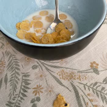 BİM Aldığım Ballı Corn Flakes'te Tekrar Yabancı Madde Çıktı, Açıklama ve Telafi Bekliyorum