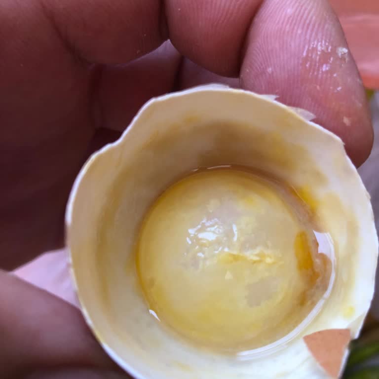 BİM'den Aldığım Yumurtalar Bozuk Çıktı!