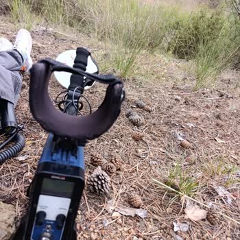 Dedektör Kiralama Sonrası Yüksek Ücret Ve Teminat Mağduriyeti