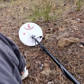 Dedektör Kiralama Sonrası Yüksek Ücret Ve Teminat Mağduriyeti