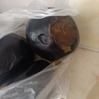 Çürük Sebzeler Ve Eksik Para İadesi: Migros Hemen'de Hayal Kırıklığı