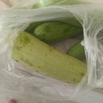 Çürük Sebzeler Ve Eksik Para İadesi: Migros Hemen'de Hayal Kırıklığı