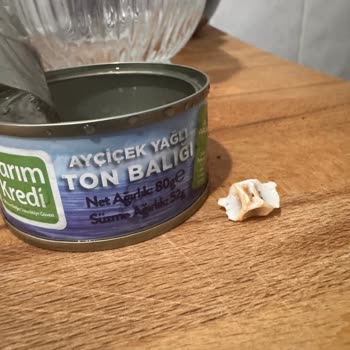 Ton Balığı Paketinden Kemik Çıkması Ve Para İadesi Talebi