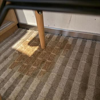 Kötü Otel Deneyimi Ve Trip.com'un İade Yapmaması Nedeniyle Mağduriyet