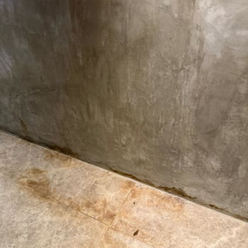 Kötü Otel Deneyimi Ve Trip.com'un İade Yapmaması Nedeniyle Mağduriyet