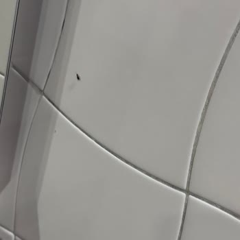 Cevahir AVM İstanbul Yemek Katında Hijyen Ve Böcek Sorunu