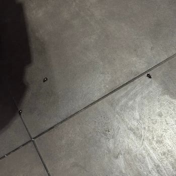 Cevahir AVM İstanbul Yemek Katında Hijyen Ve Böcek Sorunu