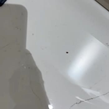 Vakko'dan Alınan Nevresim Takımında Tüylenme Ve Değişim Sorunu