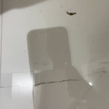 Vakko'dan Alınan Nevresim Takımında Tüylenme Ve Değişim Sorunu