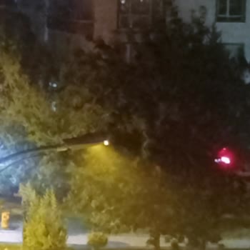 Mahallede Yoğun Toz Ve Yetersiz Temizlik Nedeniyle Sağlık Sorunları Yaşıyoruz